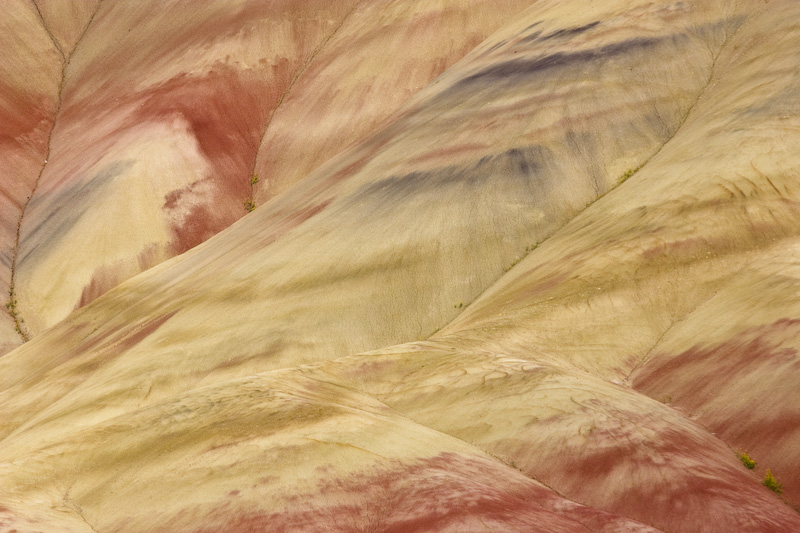 Detail Of The Painted Hills